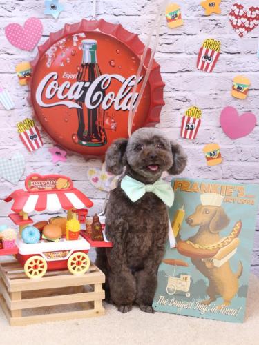 20230906モカくん